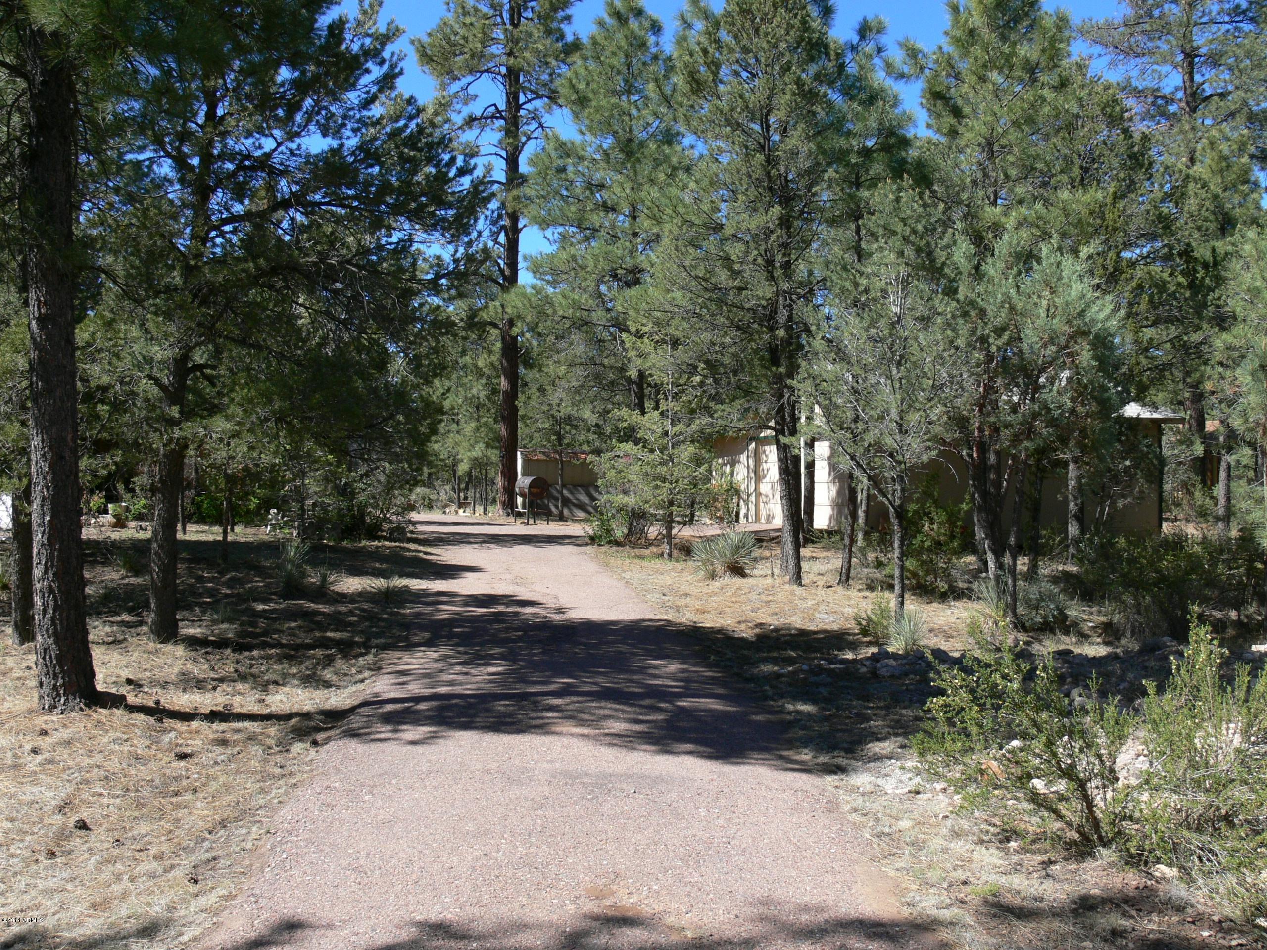 2085 Chevelon Road Overgaard, AZ 85933 - Photo 5 of 29 P1050692