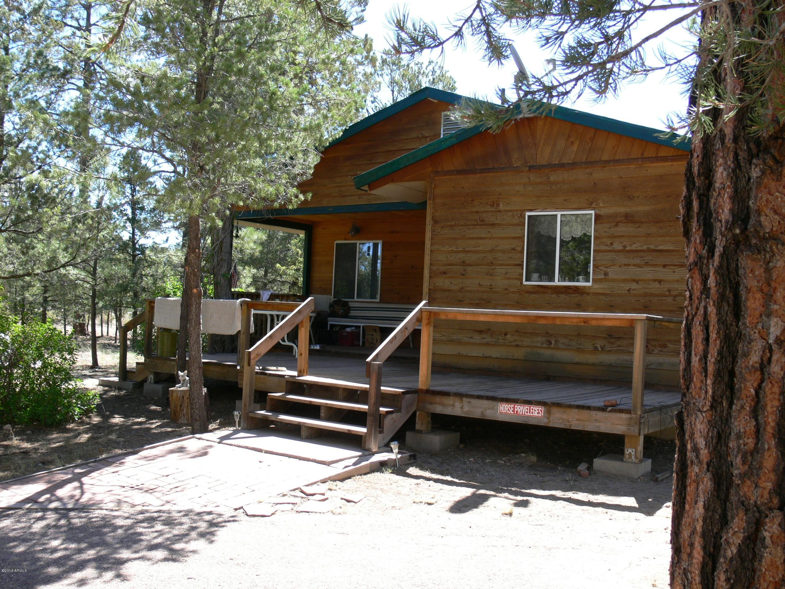 2085 Chevelon Road Overgaard, AZ 85933 - Photo 7 of 29 P1050694