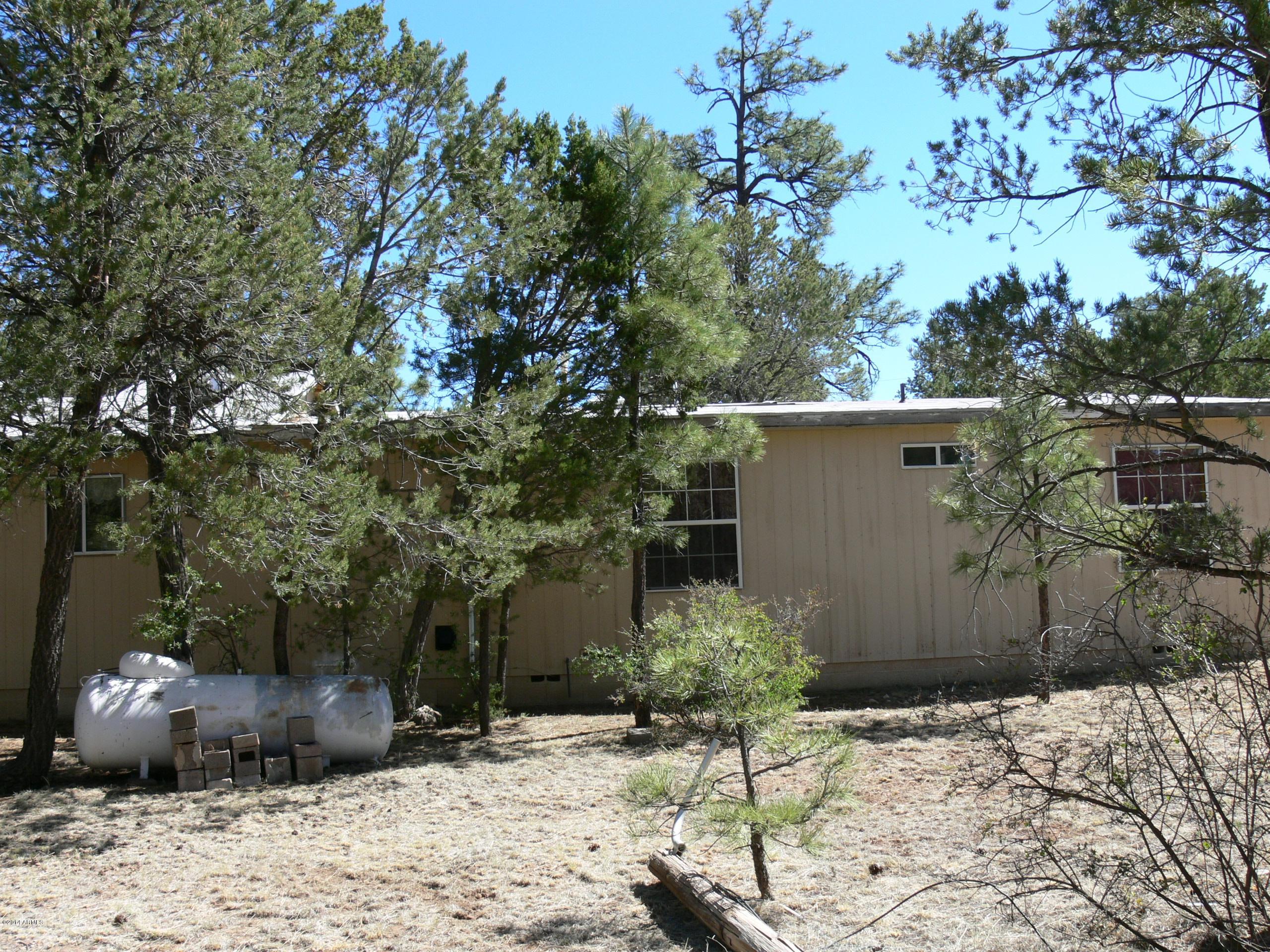 2085 Chevelon Road Overgaard, AZ 85933 - Photo 8 of 29 P1050695