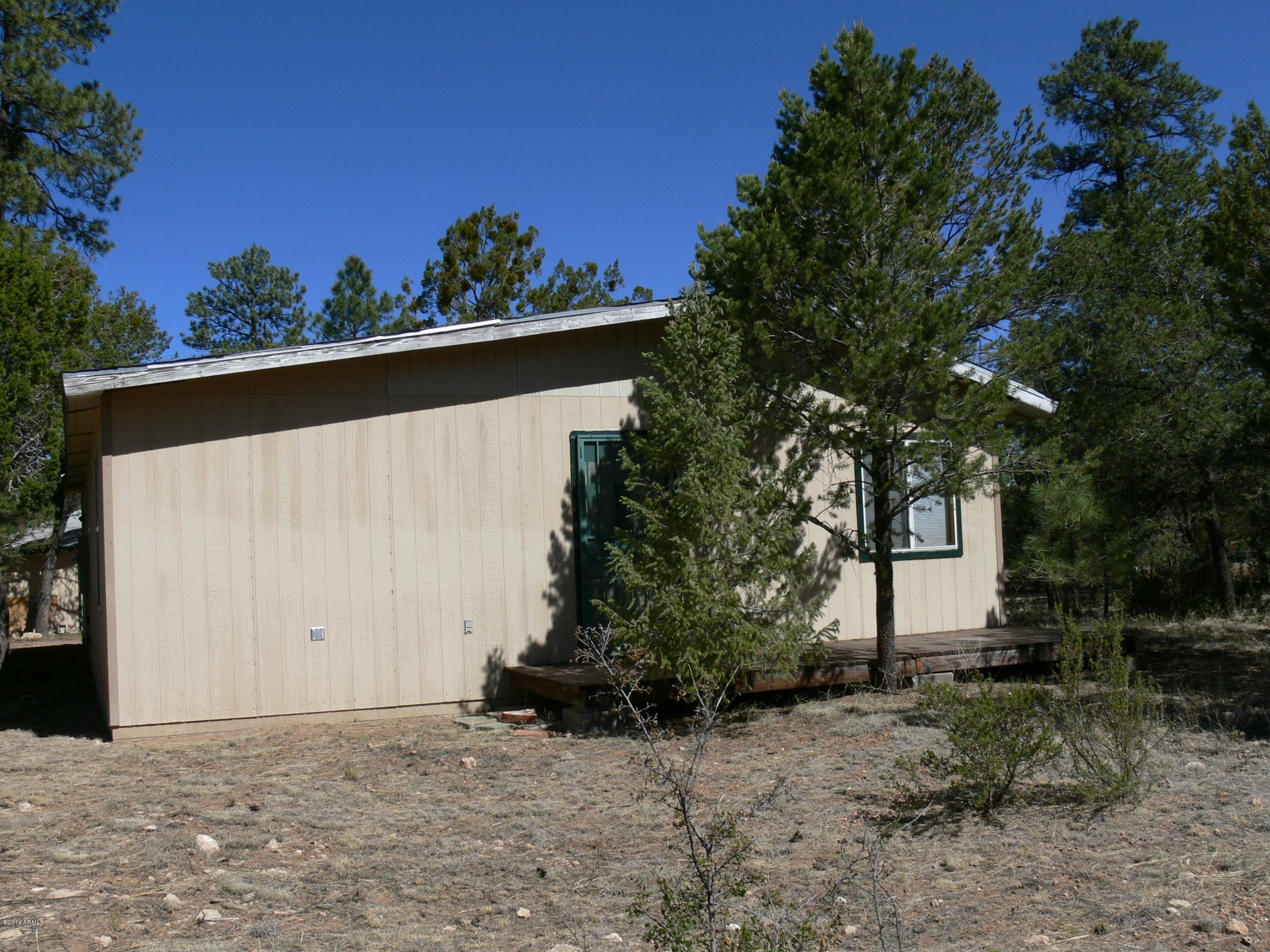 2085 Chevelon Road Overgaard, AZ 85933 - Photo 10 of 29 P1050697