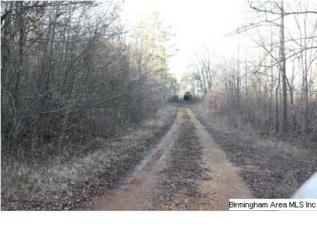 1010 County Road 2 Delta, AL 36258 - Photo 5 of 6