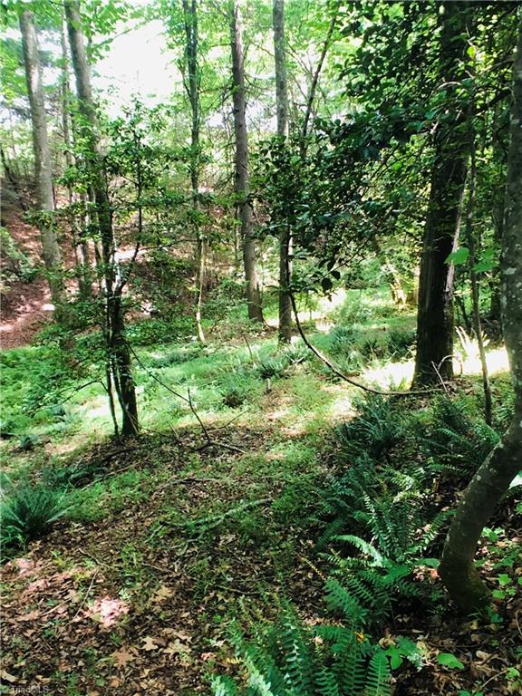 397 Fox Ridge Road Wilkesboro, NC 28697 - Photo 11 of 24 Gallery Image 11