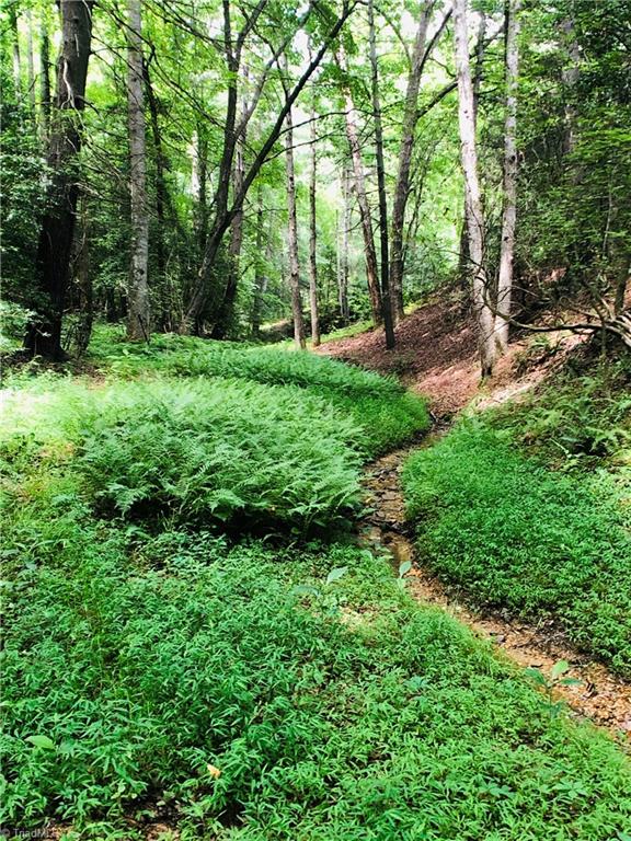 397 Fox Ridge Road Wilkesboro, NC 28697 - Photo 10 of 24 Gallery Image 10