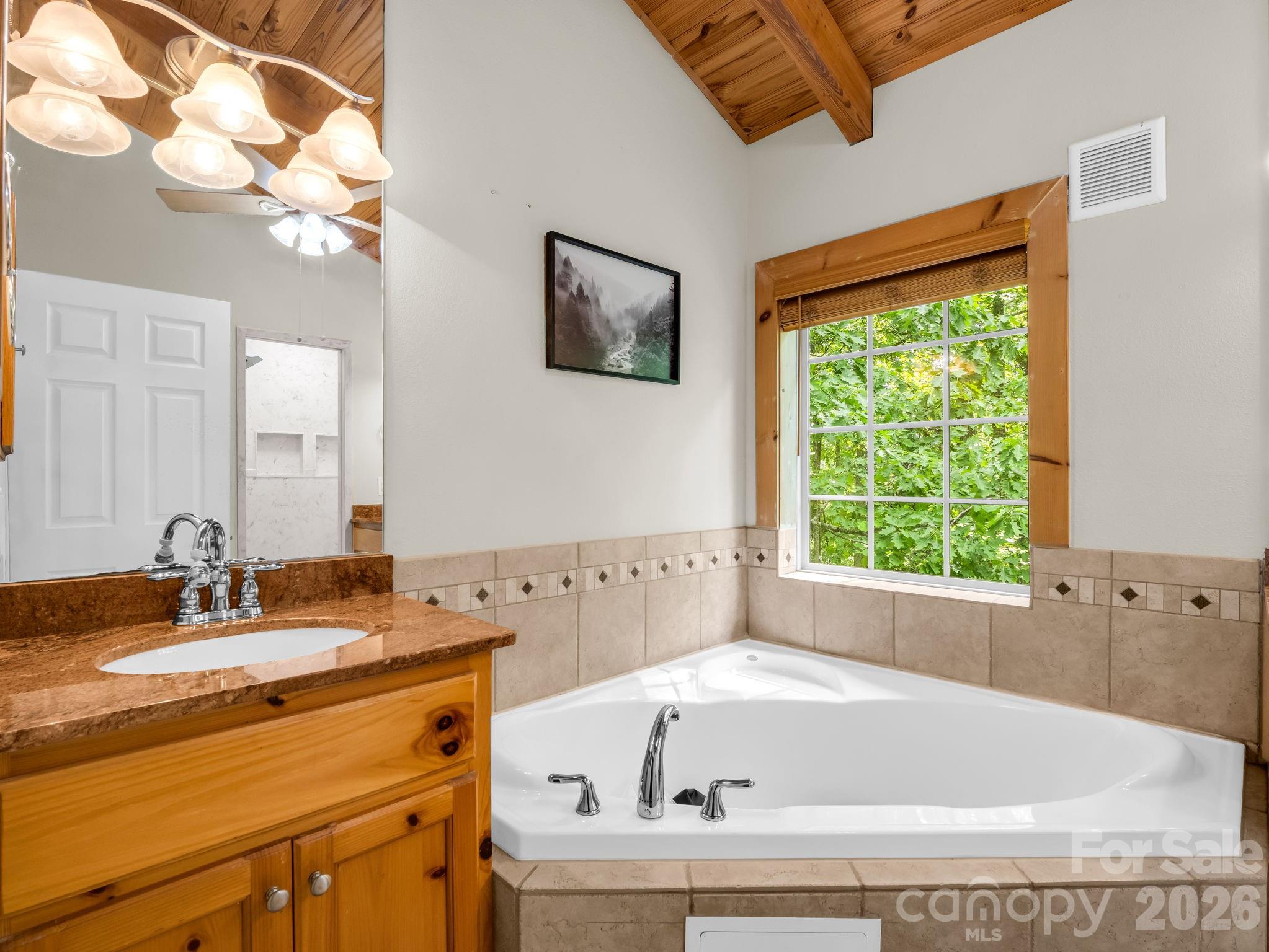 165 Dream Road Hendersonville, NC 28792 - Photo 36 of 46 a bathroom with a tub a sink and a large mirror
