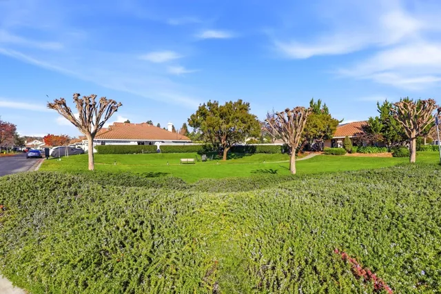 a view of a golf course with a garden