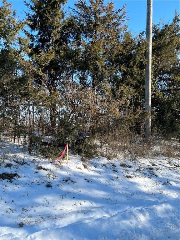 12297 Orrick Road Excelsior Springs, MO 64024 - Photo 2 of 5