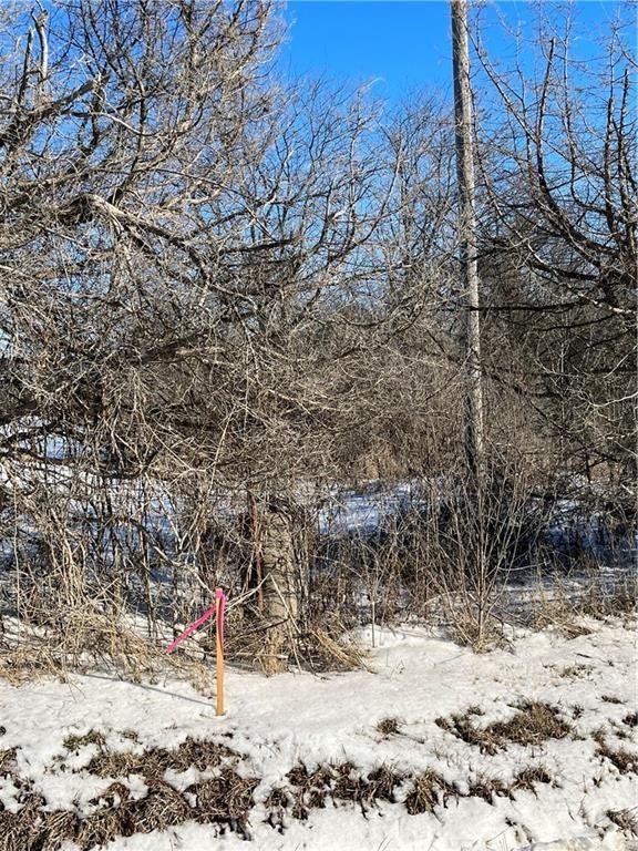 12297 Orrick Road Excelsior Springs, MO 64024 - Photo 5 of 5