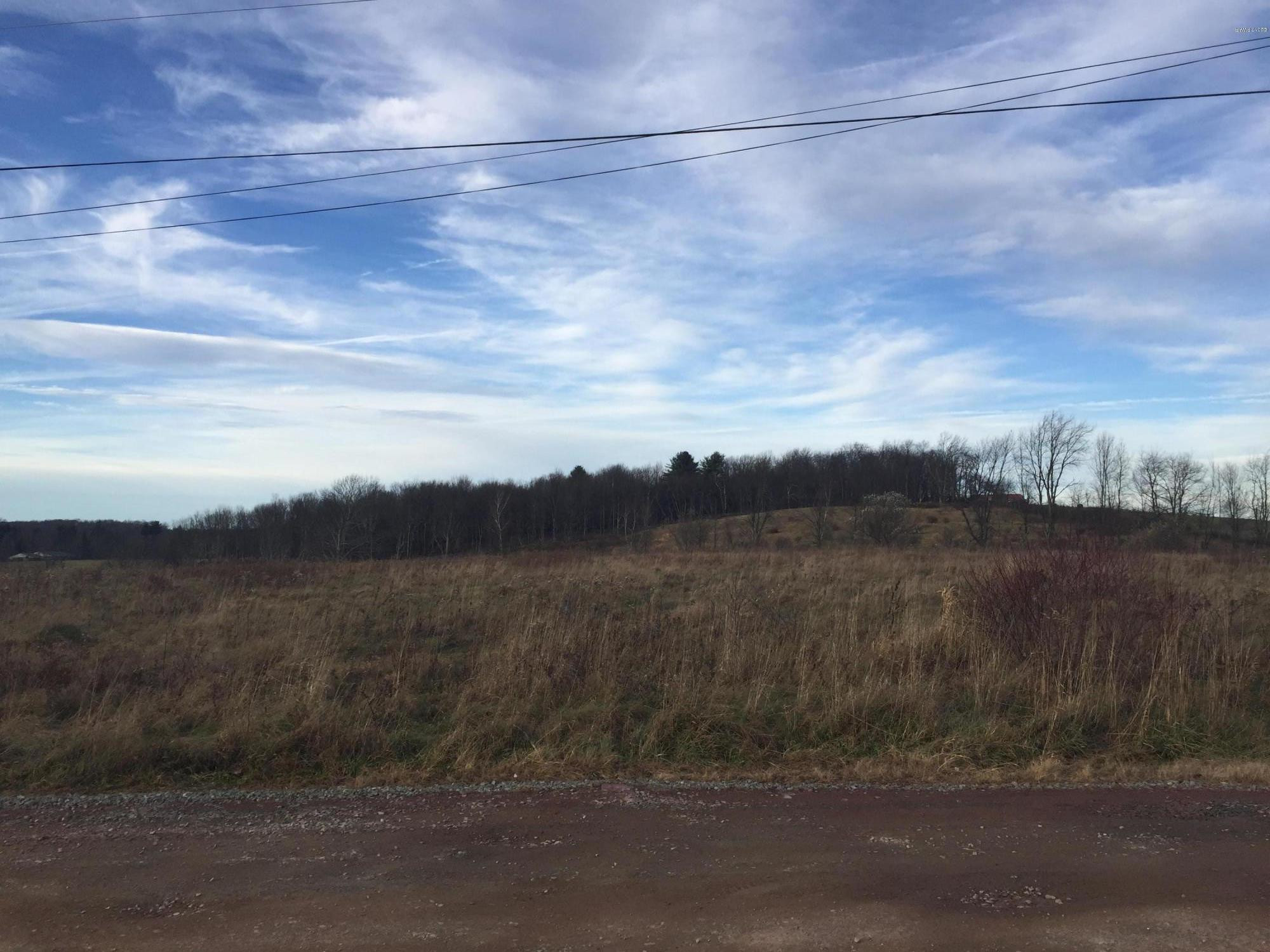 0 Slater Road Beach Lake, PA 18405 - Photo 1 of 5