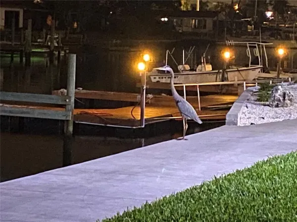 a view of lake with mountain