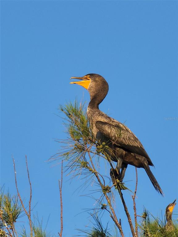6035 Sea Ranch Drive, Unit 410 Hudson, FL 34667 - Photo 54 of 64