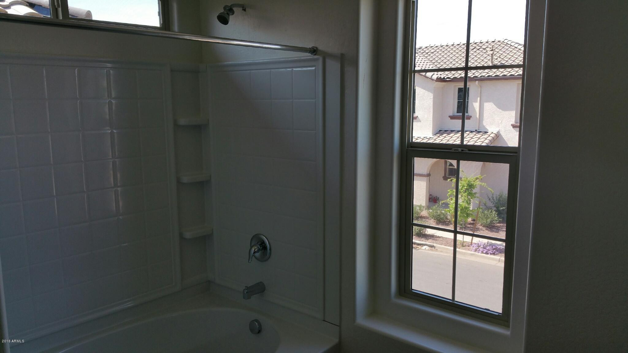 903 South Swallow Lane Gilbert, AZ 85296 - Photo 13 of 37 Photo #13