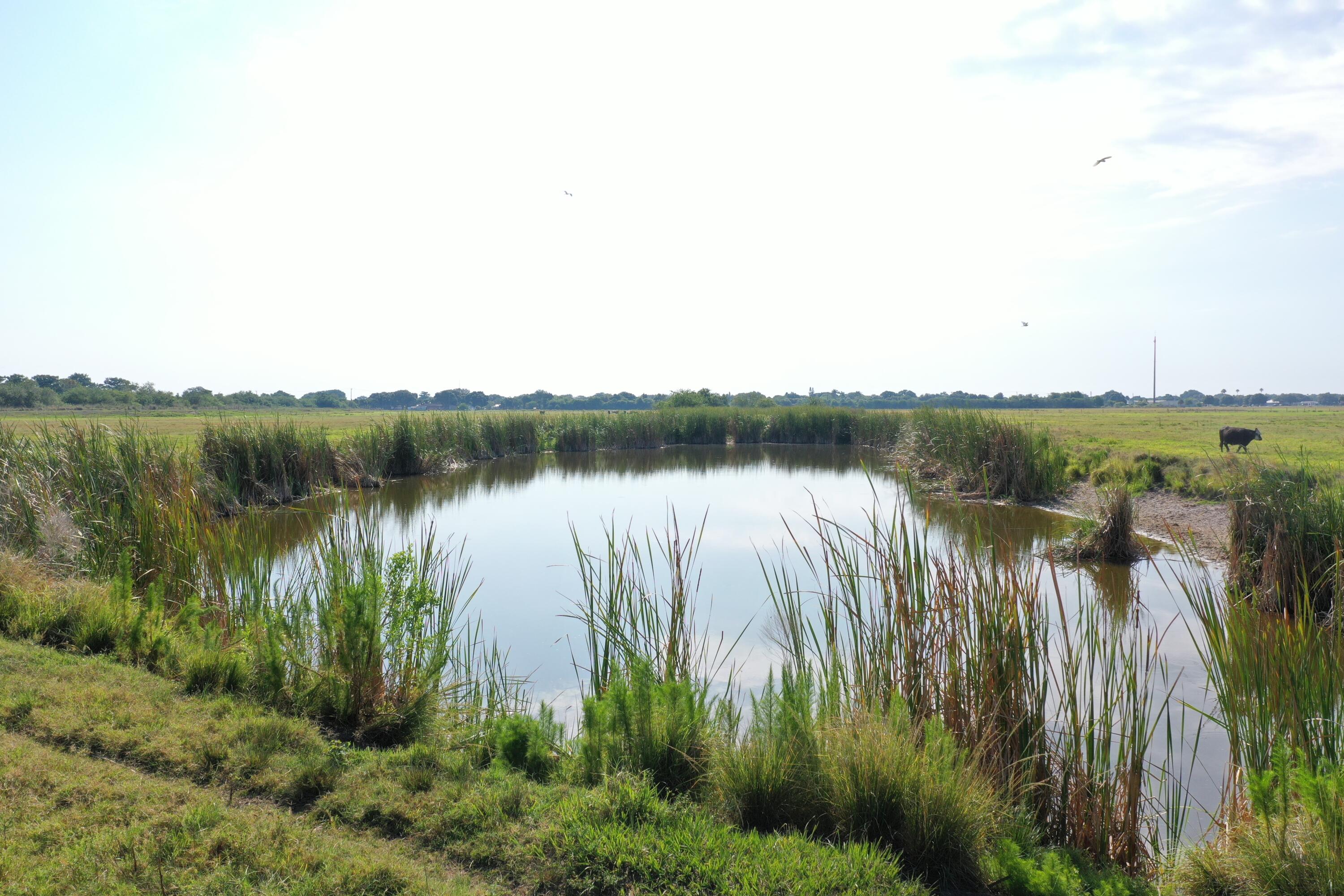 0 Southwest 28th Street Okeechobee, FL 34974 - Photo 6 of 7 DJI_0929