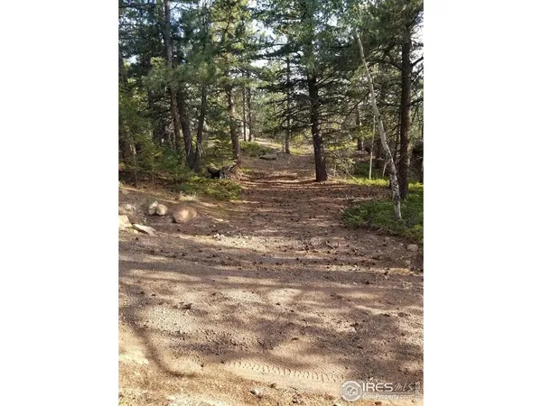 a view of a yard with trees