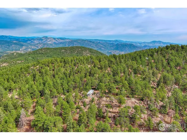 a view of a lush green field with an ocean
