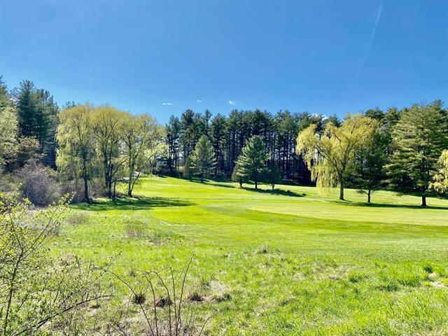 111 Prospect Point Road Castleton, VT 05732 - Photo 5 of 11