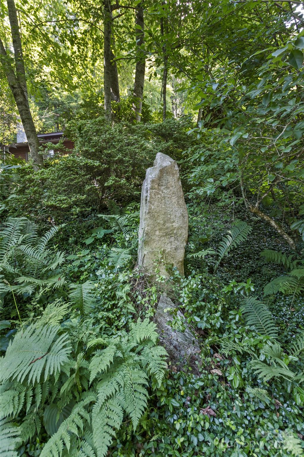 557 Tumbling Fork Road Waynesville, NC 28785 - Photo 43 of 44 a view of a forest with trees