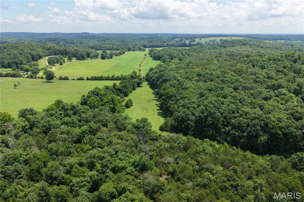 Tbd Fairview Road Imboden, AR 72434 - Photo 9 of 24