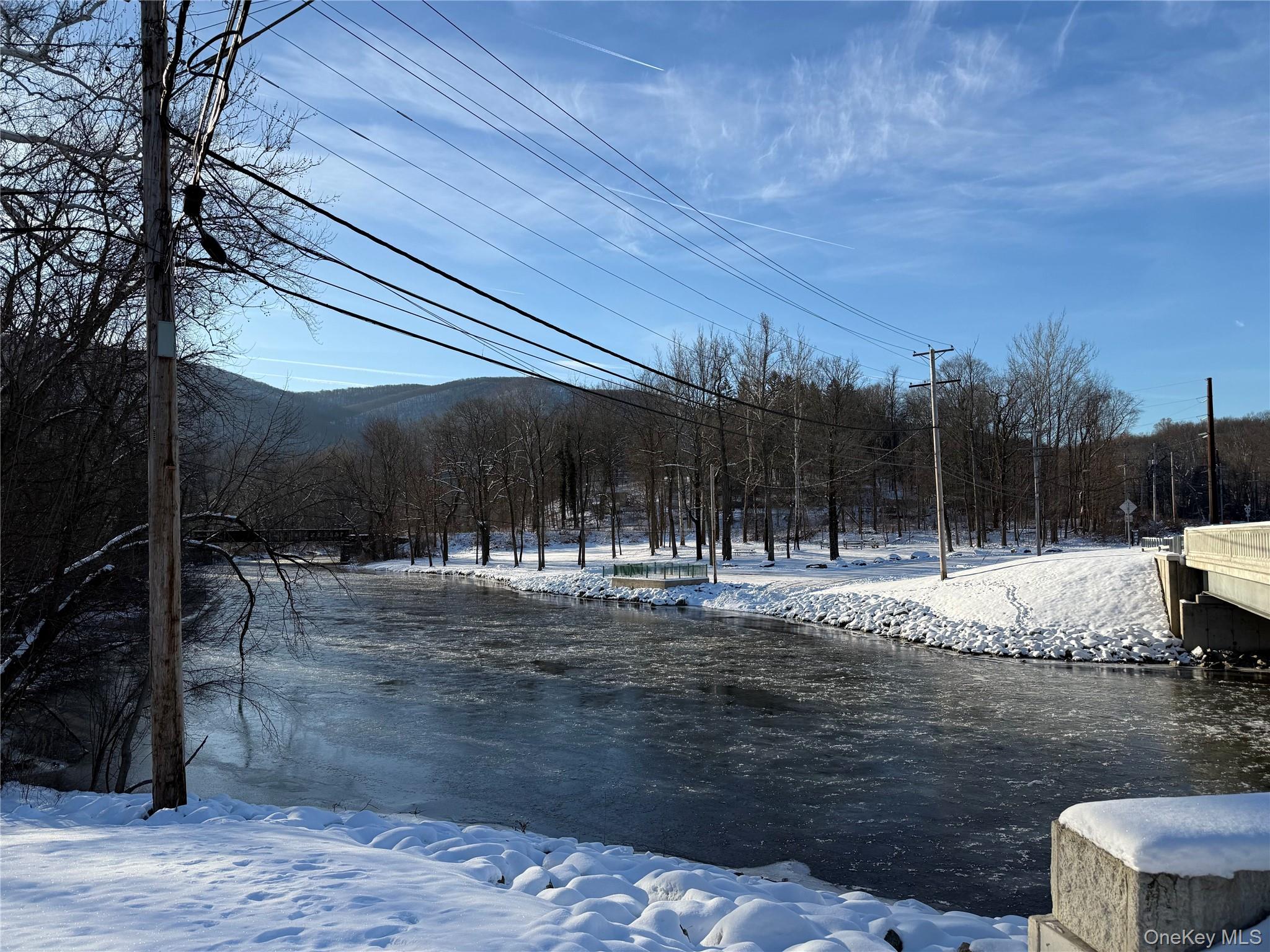 17 Maple Street Beacon, NY 12508 - Photo 35 of 39 a view of a yard with table and chairs