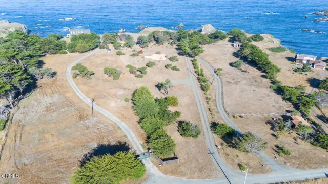 a view of a garden with a pathway