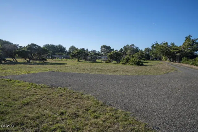 a view of a field with trees in background