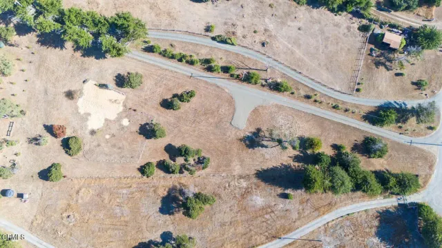 an aerial view of a house with a lot of flower plants