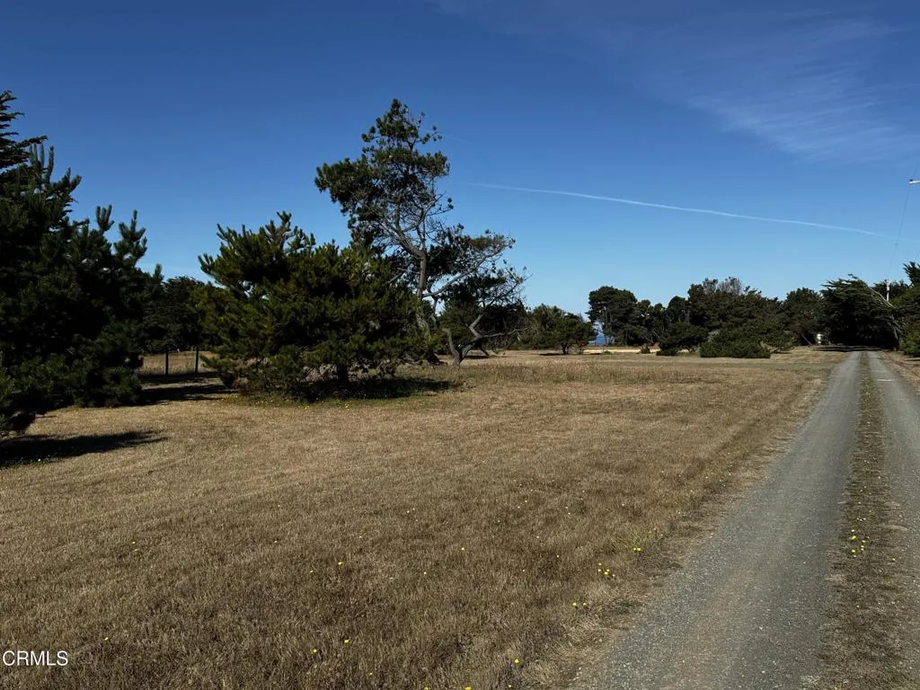 45380 Caspar Point Road Caspar, CA 95420 - Photo 25 of 25 a view of a yard