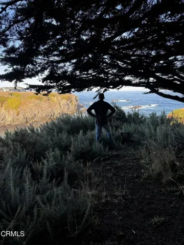 a view of outdoor space and yard