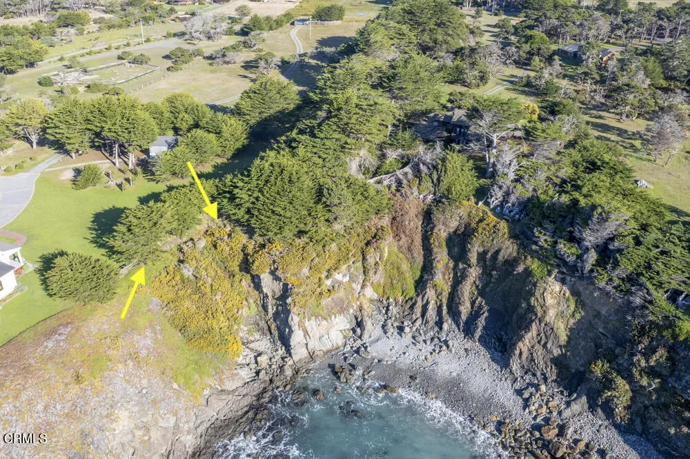 45380 Caspar Point Road Caspar, CA 95420 - Photo 10 of 25 a view of a yard