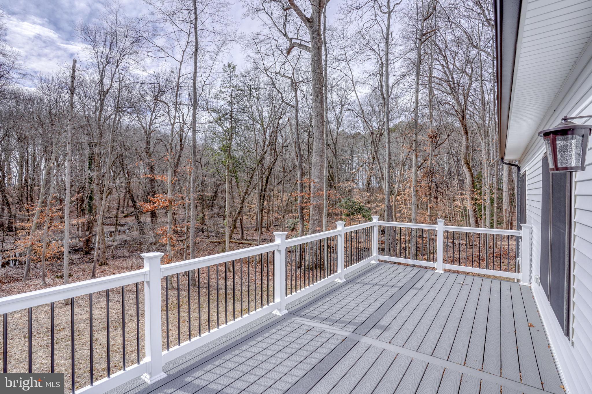 156 Pratts Branch Road Felton, DE 19943 - Photo 33 of 35 a view of a balcony with wooden floor