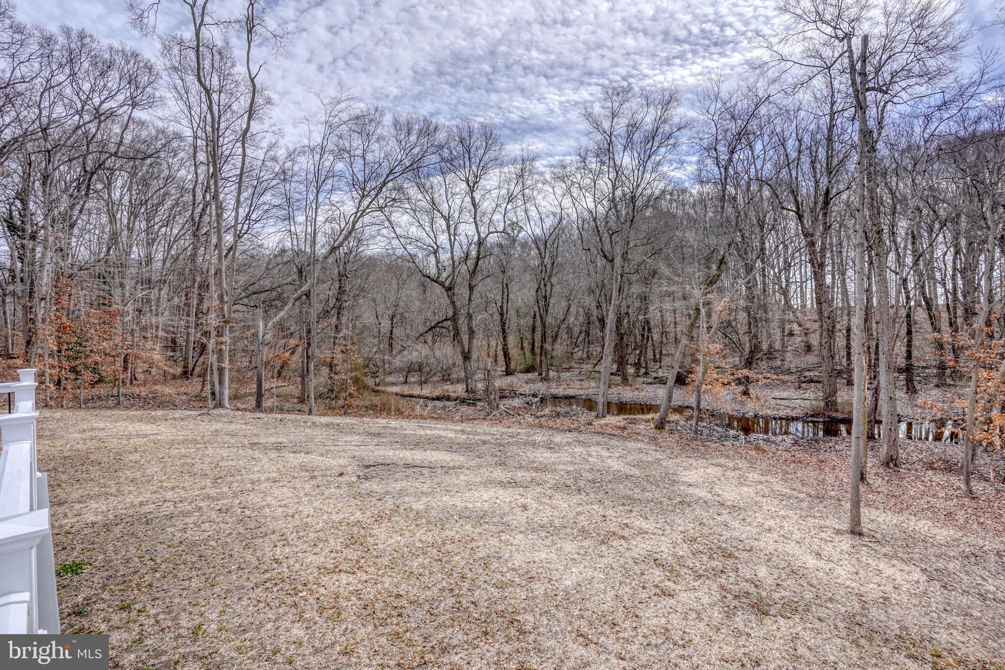 156 Pratts Branch Road Felton, DE 19943 - Photo 35 of 35 a view of backyard with green space