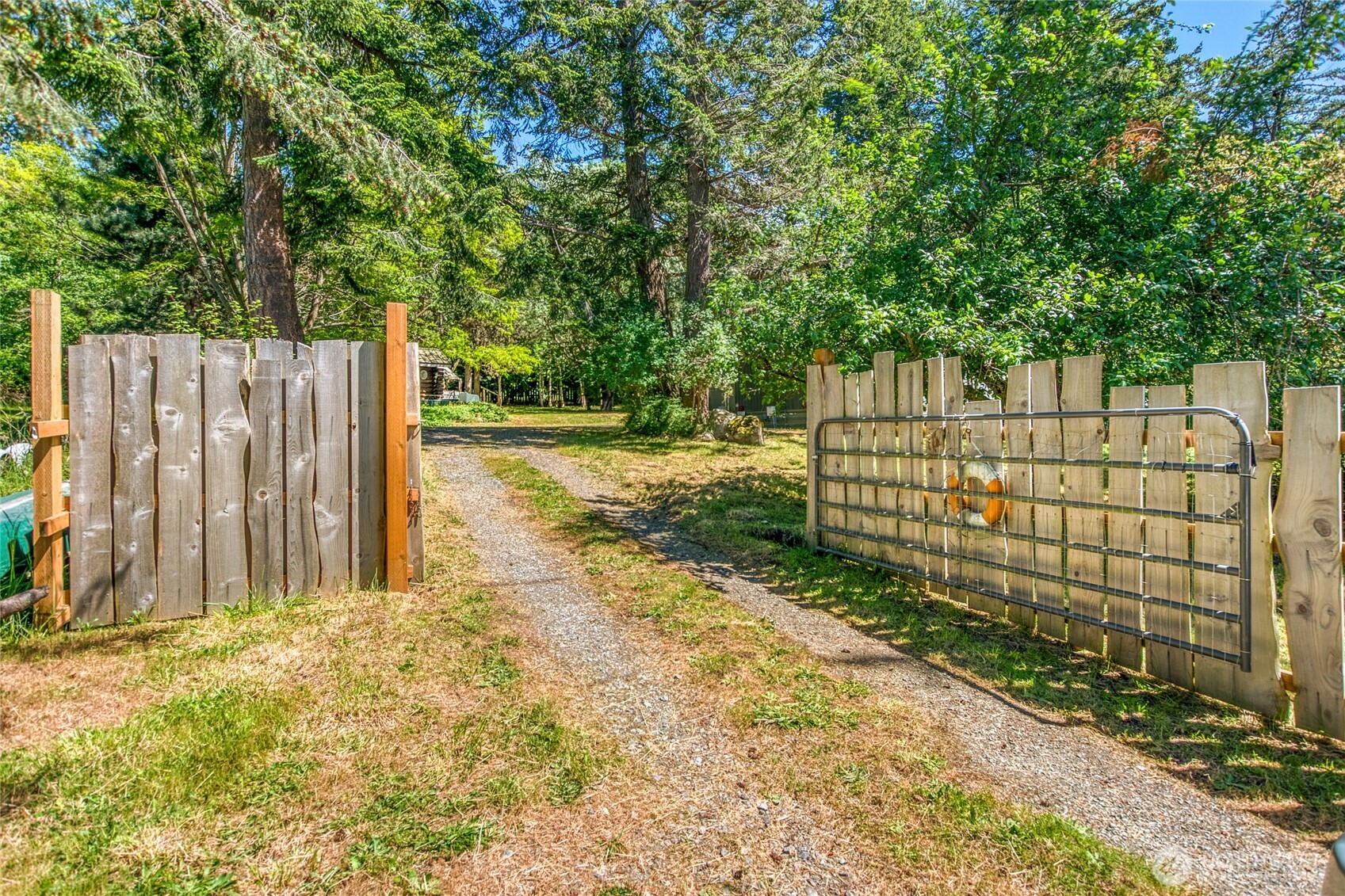 281 Olga Road Orcas Island, WA 98245 - Photo 4 of 38