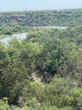 a view of a field of grass and trees
