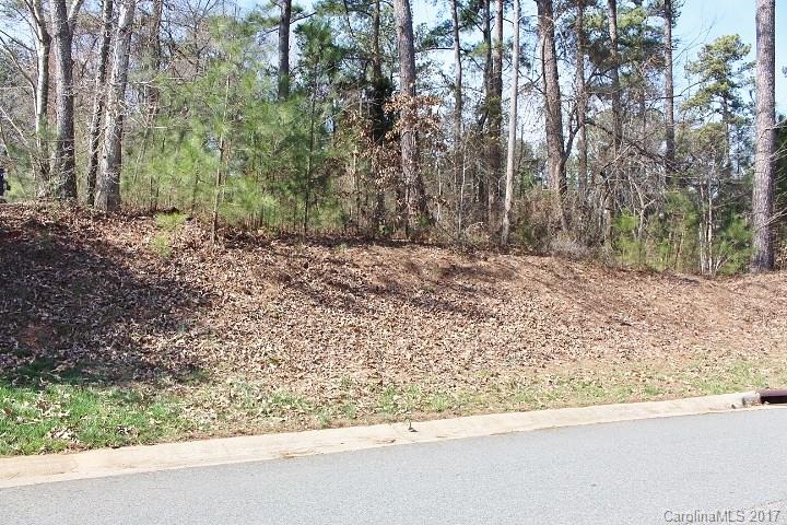 Lot 330 Summit Ridge Lane, Unit 330 Denver, NC 28037 - Photo 2 of 12 Gallery Image 2