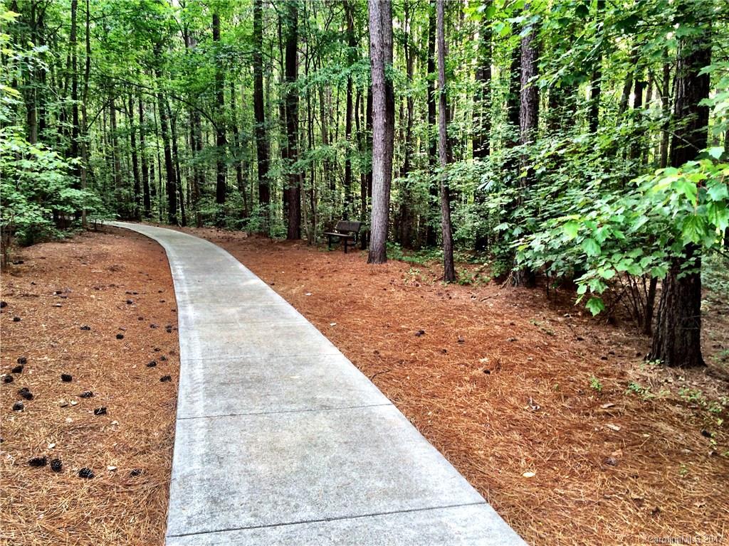 Lot 330 Summit Ridge Lane, Unit 330 Denver, NC 28037 - Photo 11 of 12 Gallery Image 11