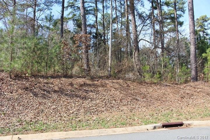 Lot 330 Summit Ridge Lane, Unit 330 Denver, NC 28037 - Photo 3 of 12 Gallery Image 3