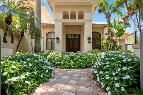 a view of a garden with plants