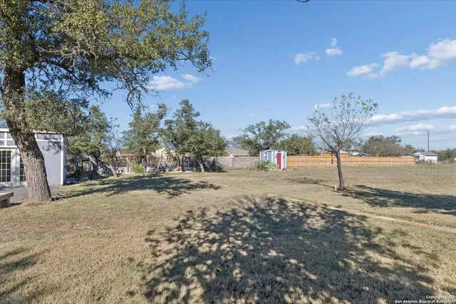 a view of a yard with plants and trees