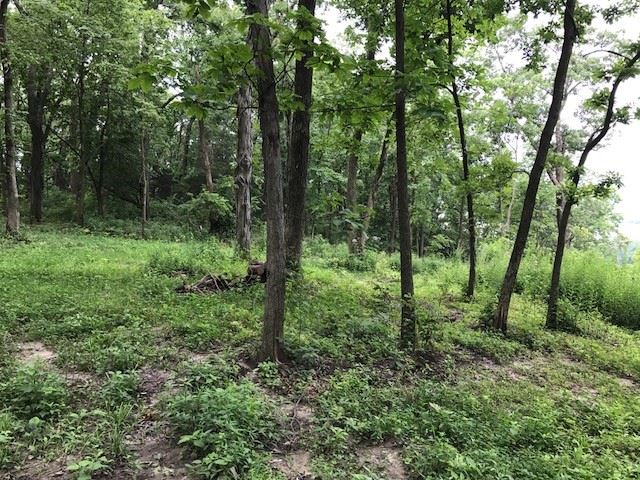 0 Frontage Road Hazel Green, WI 53811 - Photo 1 of 21 Gallery Image 1