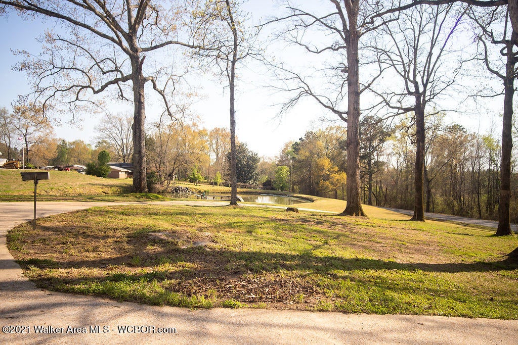 590 Bennett Road Jasper, AL 35503 - Photo 3 of 14 Gallery Image 3
