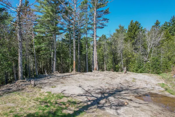 $59,000 | M1-l81-11 Asa's Lane, Lamoine, ME 04605
