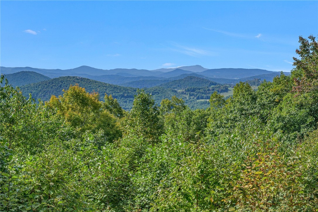2100 Homestead Road Todd, NC 28684 - Photo 45 of 49 Gallery Image 45