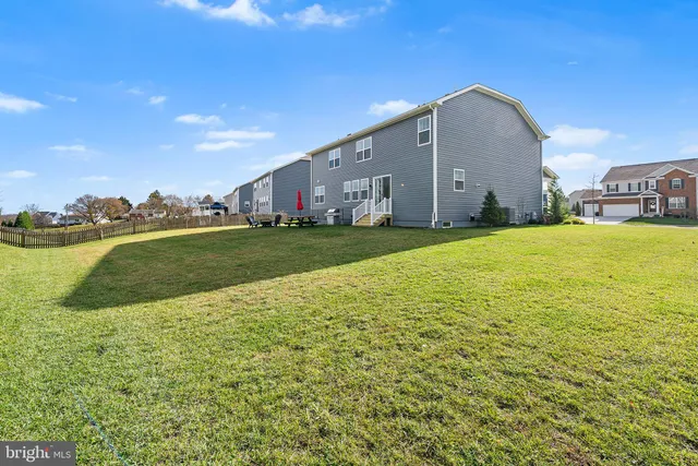 a view of a large garden with plants and large trees