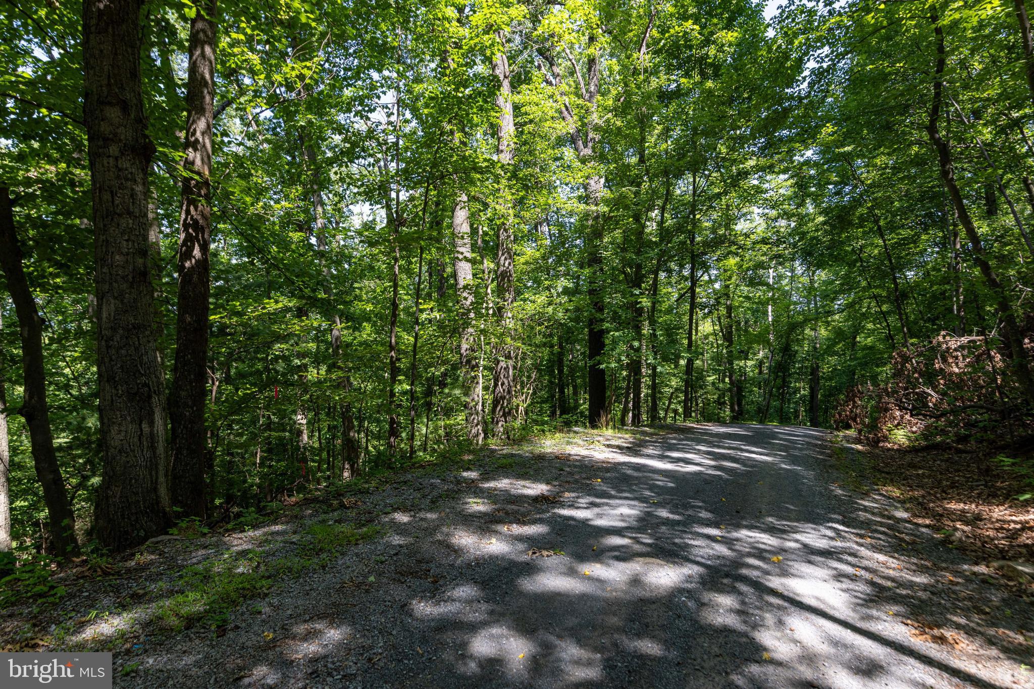 0 Helms Road Stanley, VA 22851 - Photo 29 of 50