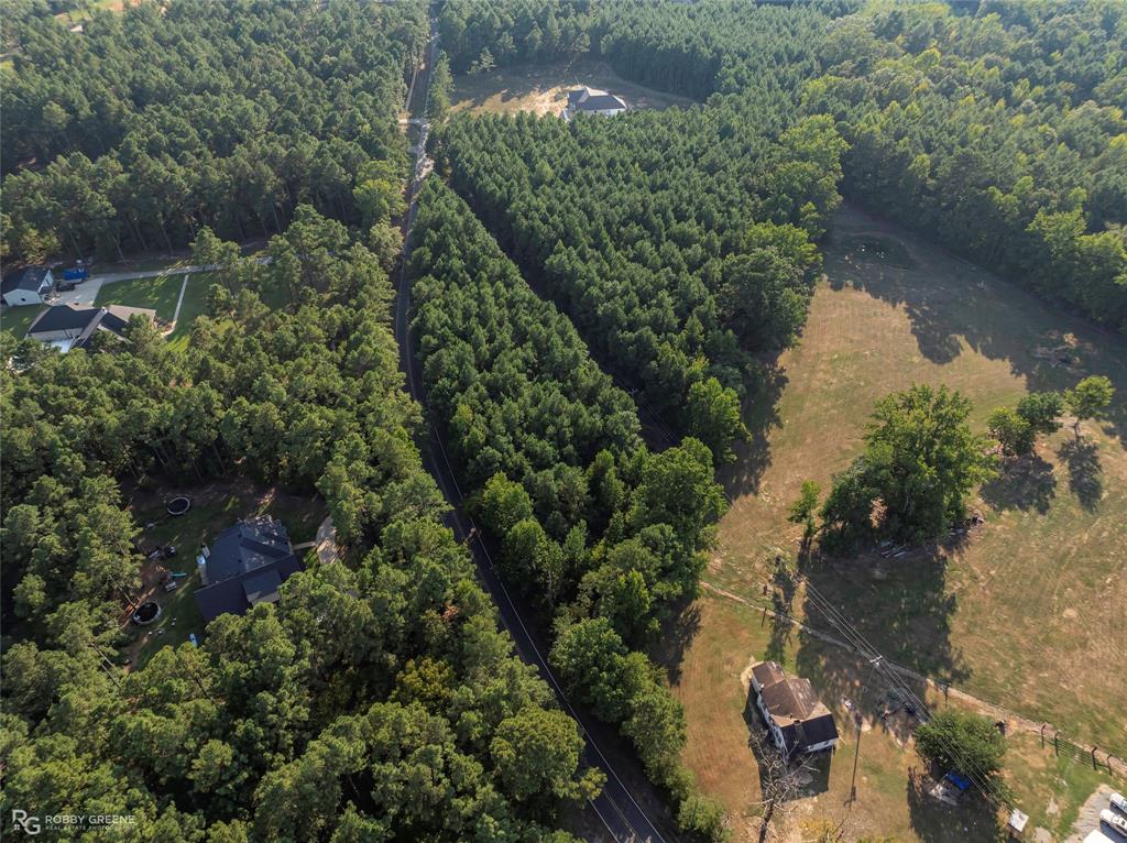 190 Linton Bellevue Road Benton, LA 71006 - Photo 9 of 13 Bird's eye view of a forest