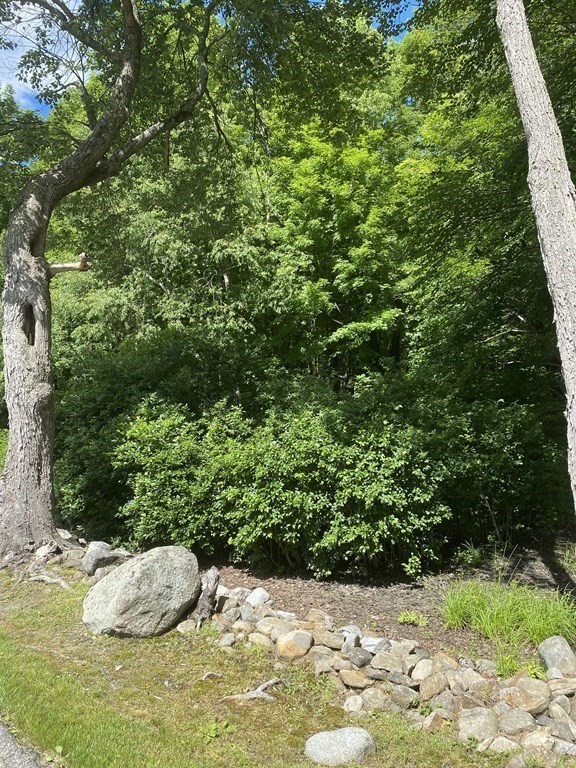 Lot 1 Munn Road Monson, MA 01057 - Photo 3 of 12
