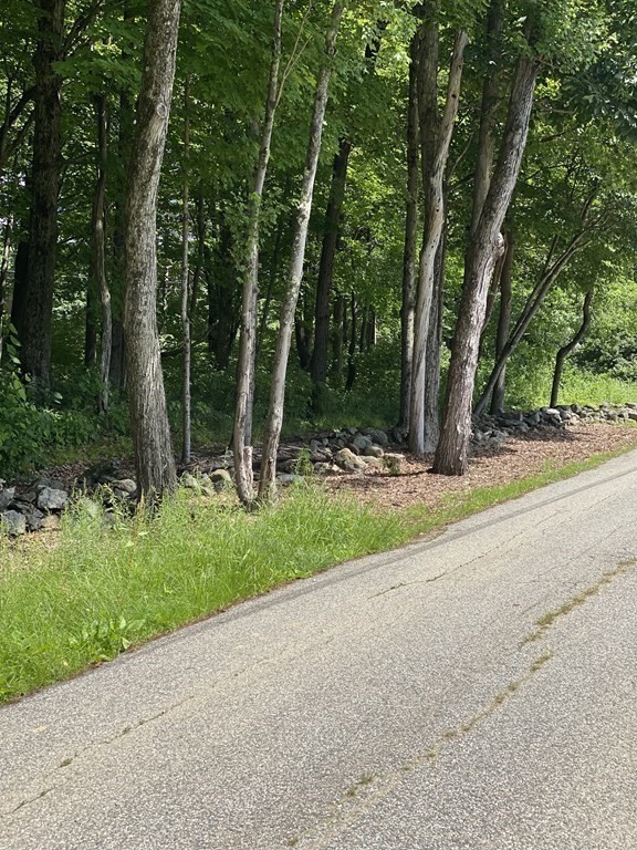 Lot 1 Munn Road Monson, MA 01057 - Photo 5 of 12