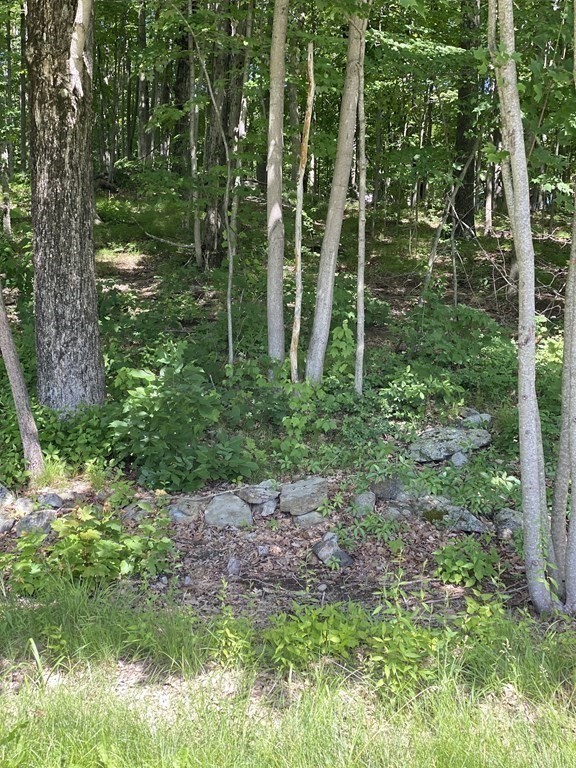 Lot 1 Munn Road Monson, MA 01057 - Photo 7 of 12