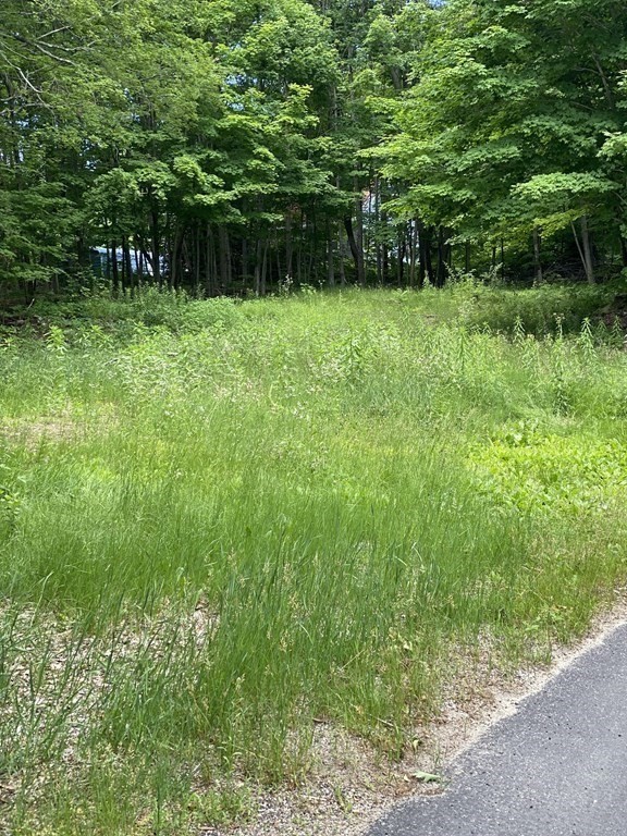 Lot 1 Munn Road Monson, MA 01057 - Photo 9 of 12