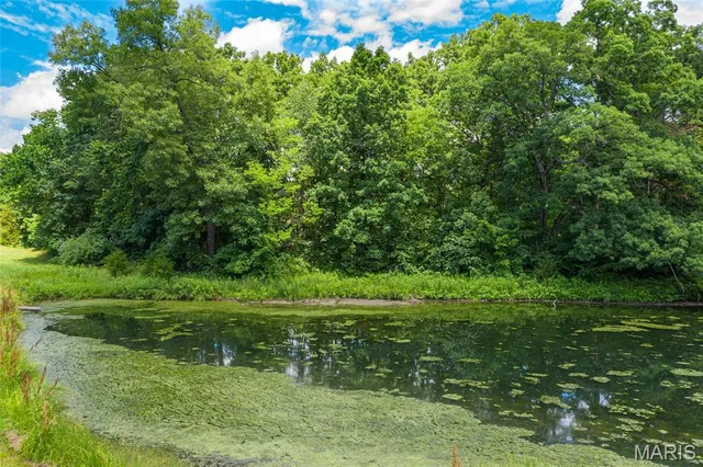 $32,000 | 10 Weeks Lane, Litchfield, IL 62056