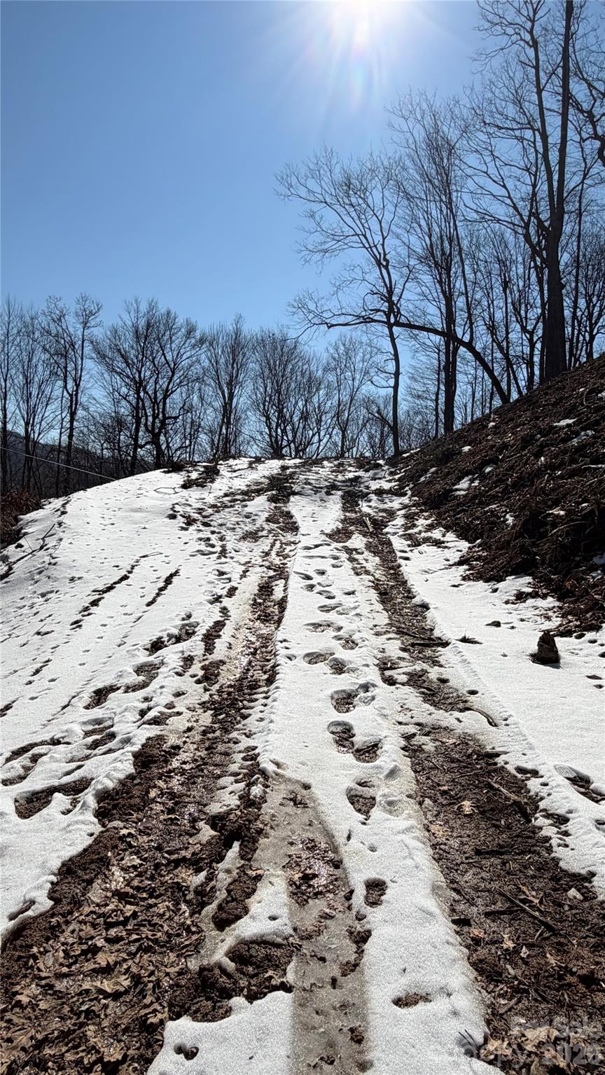a view of a yard covered in snow